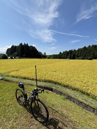 IMG_4431.jpg
