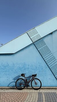 IMG_4446.jpg