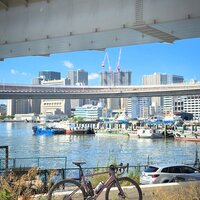 IMG_4641.jpeg