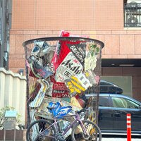 IMG_4647.jpeg