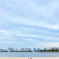 IMG_5325.jpeg IMG_5325.jpeg
