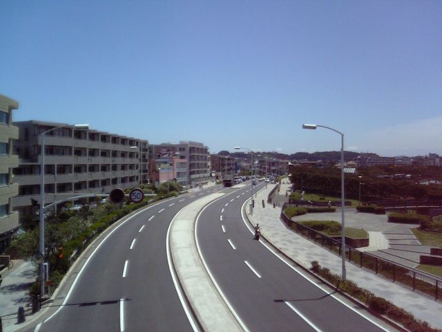 005.JPG