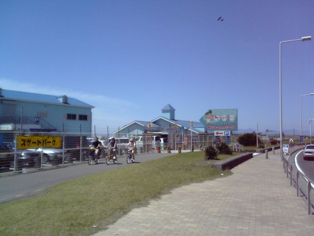 011.JPG