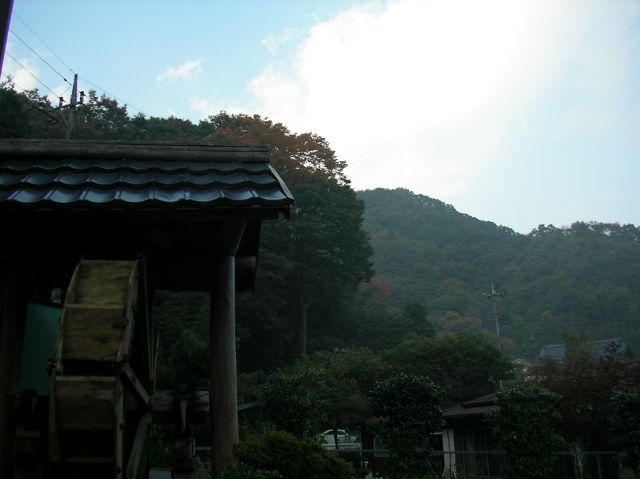 006.JPG