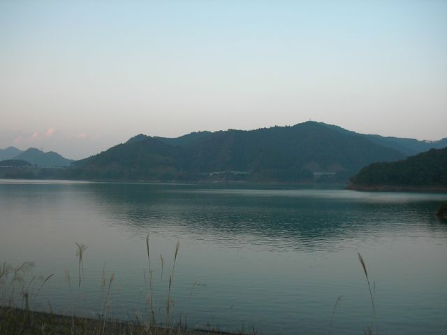 010.JPG
