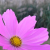 thumb-20041103_2-011.JPG.png
